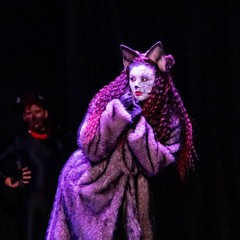 musical cats -arabesque
