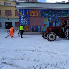 neve gravina