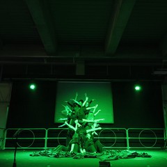 notte liceo classico 2026