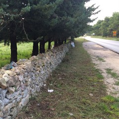 Operai Arif Puglia puliscono zona del Parco