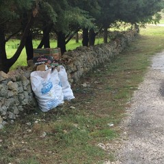 Operai Arif Puglia puliscono zona del Parco