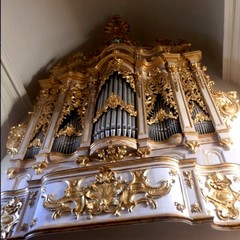 Organo Cattedrale