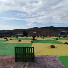 ortoincondotta 2019