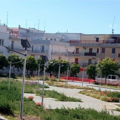 parco via alfieri- parco soranno
