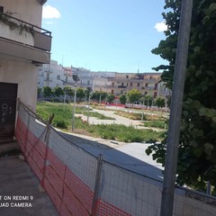 parco via alfieri- parco soranno