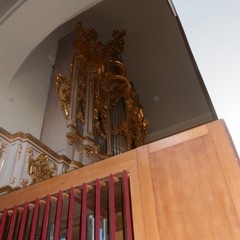 passeggiando con la storia- organo cattedrale