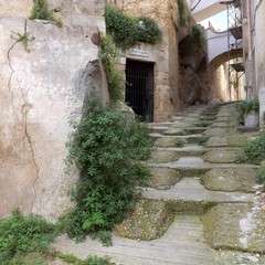 piaggio bovembre