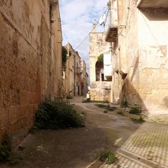 piaggio novembre