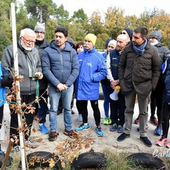 piantate querce al bosco