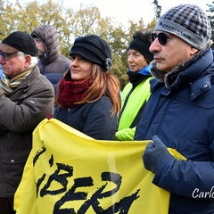 piantate querce al bosco