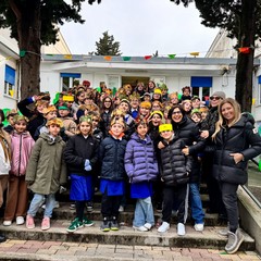 piantumazione albero savio