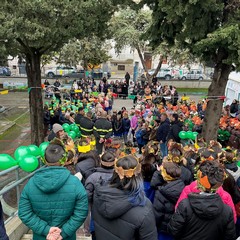 piantumazione albero savio