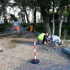 pineta comunale manutenzione aree verdi