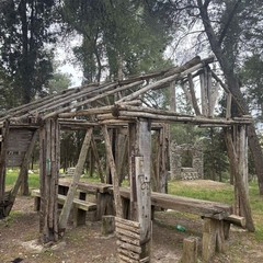 criticità pineta - cittadini attivi