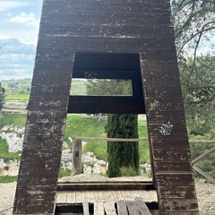 criticità pineta - cittadini attivi