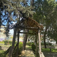 criticità pineta - cittadini attivi