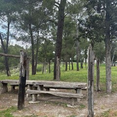 criticità pineta - cittadini attivi