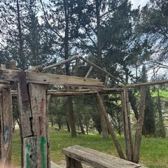 criticità pineta - cittadini attivi
