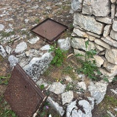 criticità pineta - cittadini attivi