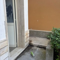 criticità pineta - cittadini attivi