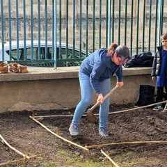 progetto Chicchia, fago e ceccio