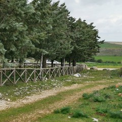 progetto path- parco Alta Murgia