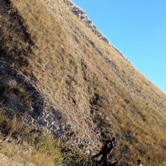 pulitura gravina