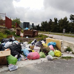 rifiuti abbandonati