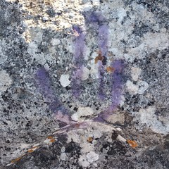 rifiuti e atti vandalici padre eterno