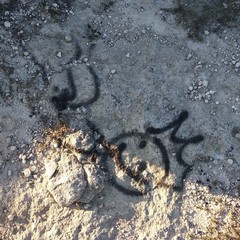 rifiuti e atti vandalici