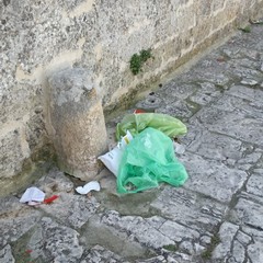 rifiuti e atti vandalici