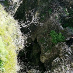 rifiuti nel Parco Alta Murgia