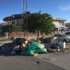 rifiuti zona pip