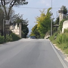 strada via selva