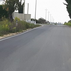 strada via selva