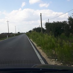 strada via selva