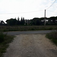 strada via selva