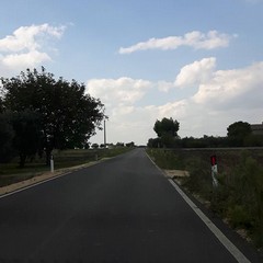 strada via selva