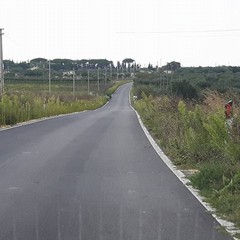 strada via selva