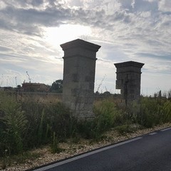 strada via selva