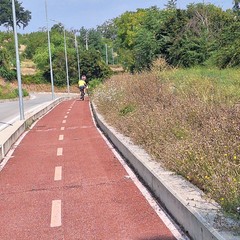 sulle tracce della via appia