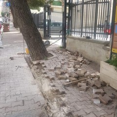 via tripoli
