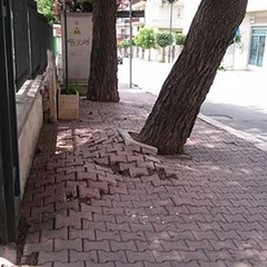 via tripoli
