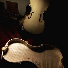 violino fabrizio lombardi