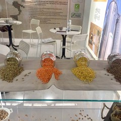 Viva Terra Bio a Norimberga per BIOFACH 2018