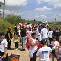 A spasso con gli aquiloni