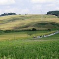 A spasso con gli aquiloni