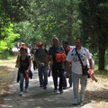 A spasso con gli aquiloni