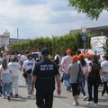 A spasso con gli aquiloni