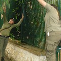 Caduta di un albero adiacente il parco giochi della pineta